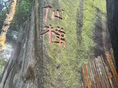 -三亚亚龙湾人间天堂鸟巢度假村