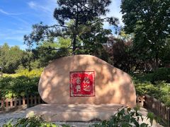 -莲花池公园