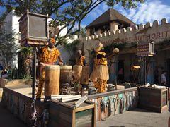 -奥兰多迪士尼动物王国乐园