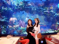 -迪拜帆船酒店海底餐厅