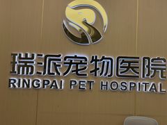 -瑞派康怡24h宠物医院·犬猫医疗中心·微创绝育(瑞景分院)