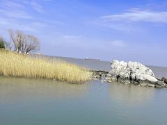 -上海吴淞炮台湾国家湿地公园