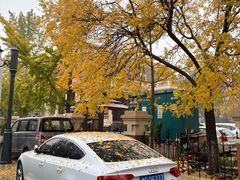 -天津五大道文化旅游区