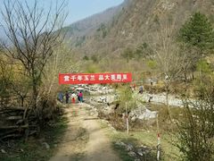 -黑河国家森林公园