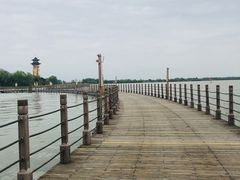 -溱湖国家湿地公园