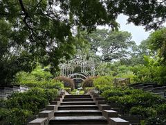 -九龙公园
