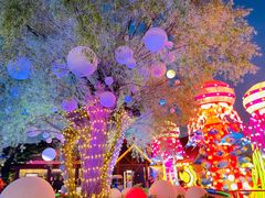 -第35届青岛国际啤酒节