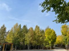 -绥化市森林植物园