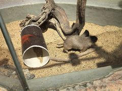 -正佳雨林生态植物园