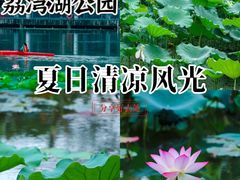 -荔湾湖公园