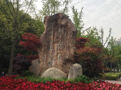 景点-苏州河梦清园环保主题公园