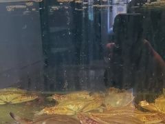 -广记海鲜(杨汊湖一店)