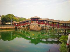 -四季春