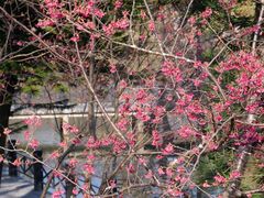 -田野绿世界