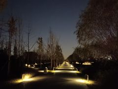 -汉长安城未央宫国家考古遗址公园