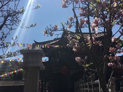 -圆通禅寺