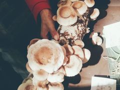 -谭鸭血老火锅(漳州路店)