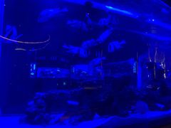 -上和臻品中国菜(花园街店)