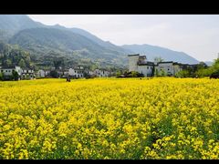 -婺源风景区