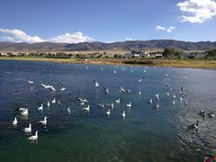 -青海湖国家重点风景名胜区