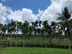 -红色娘子军纪念园