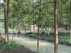 -桤木河湿地公园