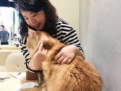 -藏猫猫咖啡主题馆(中央大道店)