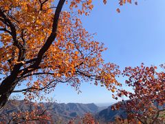 -周口店坡峰岭风景区