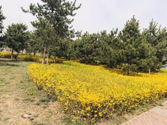 -洨河生态公园