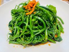 凉拌丝瓜苗-老酒川菜坊(中山西路店)