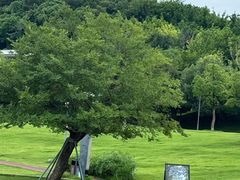 -牛岗山公园