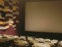 -保定金棕榈先天下国际影城(LUXE)