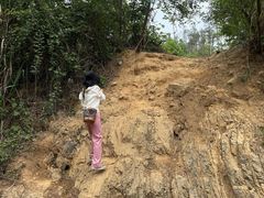 -青龙山国家森林公园
