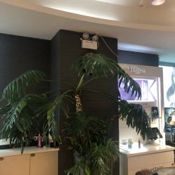 大厅-意廊 Hair Salon