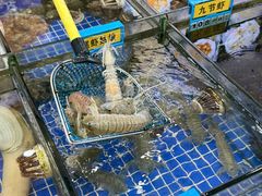 -明记海鲜大排档(巽寮湾店)