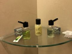 -重庆长寿碧桂园凤悦凤凰酒店