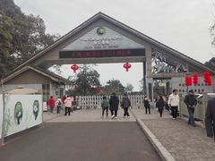 -中国大熊猫保护研究中心雅安碧峰峡基地