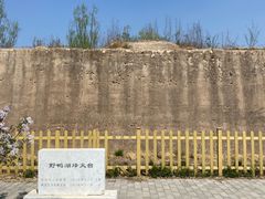 -野鸭湖国家湿地公园