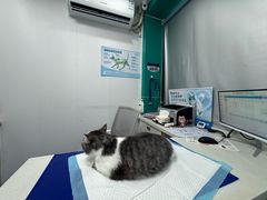 -博特宠物医院24h犬猫全科.骨科·异宠