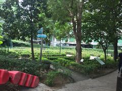 -九龙公园