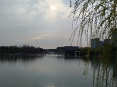 -大宁公园