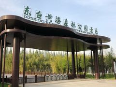 -黄海国家森林公园