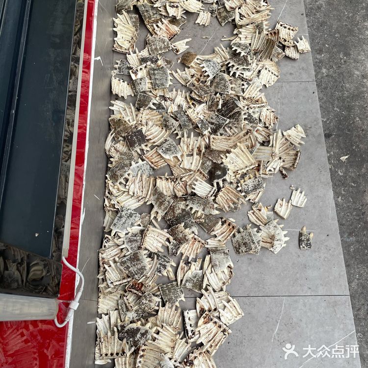 长沙 | 养殖地直接运上餐桌！好扎实的甲鱼火锅