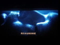 -万达影城(金平万达广场IMAX店)