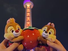 -东方明珠广播电视塔