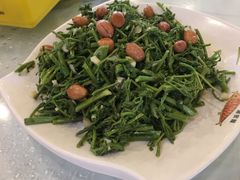 -京北渔家傲