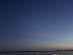 -碧海金沙