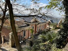 -上海佘山国家森林公园西佘山园