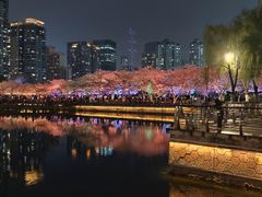 -西北湖绿化广场