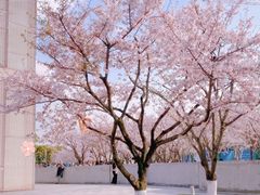 -龙美术馆(西岸馆)